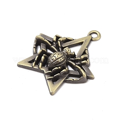Pendente in lega stile tibetano&nbsp;FIND-M021-22AG