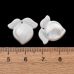 Anhänger aus geschnitzten Früchten aus natürlicher weißer Muschel&nbsp;SHEL-G024-07