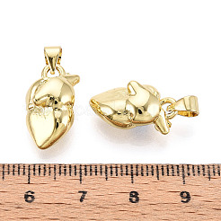 Colgantes de latón&nbsp;KK-N265-18G