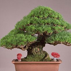 Ornamenti di funghi luminosi in miniatura in resina&nbsp;AJEW-WH0326-72