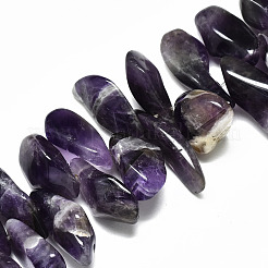Perle di fili di ametista naturale&nbsp;G-R485-06A