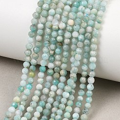 Amazonite naturale fili di perle&nbsp;G-P279-42-3mm