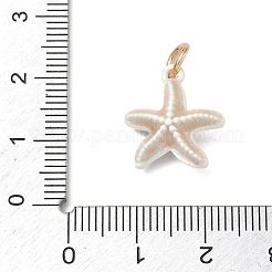 Emaille Anhänger Legierung&nbsp;AL-CBA7219-02A