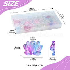 60 Stück 10 Farben Backfarbe Glasperlen&nbsp;GLAA-FS0002-01