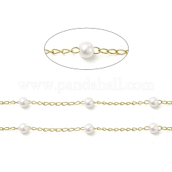 Ionenplattierung (IP) 316 chirurgischer Edelstahl Panzerketten&nbsp;CHS-I019-01A-1