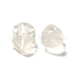 Perle di resina trasparente&nbsp;RESI-G060-01A-01