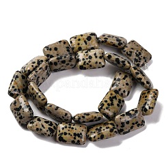 Natur Dalmatiner Jaspis Perlen Stränge&nbsp;G-T047-B16-01