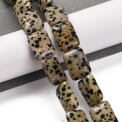 Natur Dalmatiner Jaspis Perlen Stränge&nbsp;G-T047-B16-01
