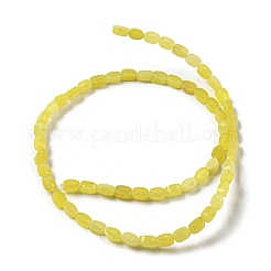 Chapelets de perles en jade citron naturel&nbsp;G-M420-H09-03
