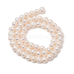 Fili di perle di perle d'acqua dolce coltivate naturali&nbsp;PA-CBABE82-10