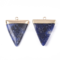 Pendentifs de sodalite naturelle&nbsp;X-G-S344-49A