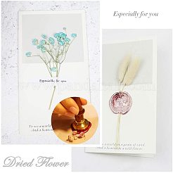Scrapbook diy&nbsp;AJEW-CP0001-01B