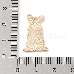 Emaille Anhänger Legierung&nbsp;LS-ENAM-Z010-09KCG