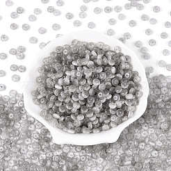 Perles de rocaille en verre&nbsp;SEED-T007-17A