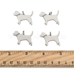 4 Stück Anhänger aus 304 Edelstahl&nbsp;STAS-FS0002-01A