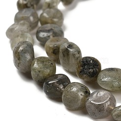 Natur Labradorit Perlen Stränge&nbsp;G-P497-01E-47
