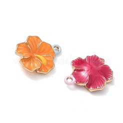 Pendentifs d'émail en alliage&nbsp;AL-CBA55D2-02G