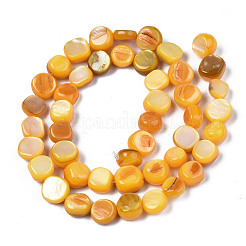 Fili di perle di conchiglia trochid naturale / trochus&nbsp;SHEL-S258-083-B10