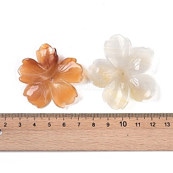 Natürlicher Achat Schmetterling Anhänger&nbsp;G-Q164-20