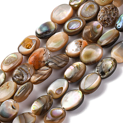 2 hebra de cuentas de concha de paua natural&nbsp;BSHE-PA0001-09