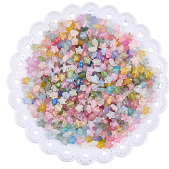 600 Stück 2 Farben mattierte Acryl-Anhänger&nbsp;OACR-PA0001-35