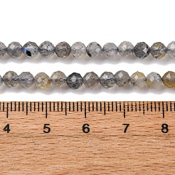 Natur Labradorit Perlen Stränge&nbsp;G-RM250104-E3