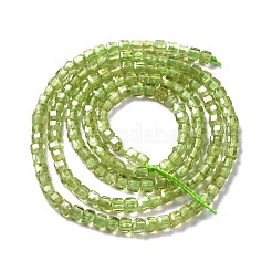 Natürlichen Peridot Perlen Stränge&nbsp;G-D467-A11