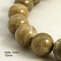 Natural Chrysanthemum Stone/Fossil Coral Beads Strands, Round, 10mm, Hole: 1mm