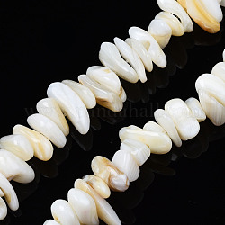 Fili di perle di conchiglia trochid naturale / trochus, undyed, pezzo, 7~22x5~8x1~6.5mm, Foro: 1 mm, circa 96~111pcs/filo, 14.37 pollice ~ 15.75 pollici (36.5 cm ~ 40 cm)