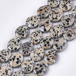 Chapelets de perles en jaspe dalmatien naturelle, facette, larme, 18x13~13.5x5.5~6mm, Trou: 1.2mm, Environ 11 pcs/chapelet, 7.8 pouce