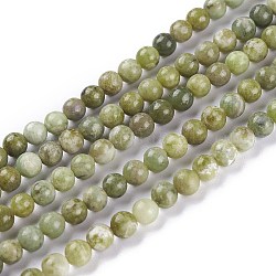 Natural Idocrase Beads Strands, Vesuvianite Beads, Round, 4mm, Hole: 1mm, about 100pcs/strand, 16 inch