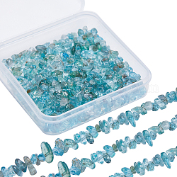 SUNNYCLUE 2 Strands Natural Apatite Chip Beads Strands, 3~5x3~5mm, Hole: 1mm, about 32 inch