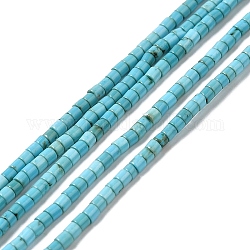 Filo di perline turchesi sintetici, tinto, colonna, 2x2mm, Foro: 0.6 mm, circa 185~188pcs/filo, 15.16~15.35 pollice (38.5~39 cm)