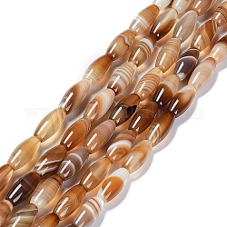 Fili di perline di agata a banda naturale, riso, 20x8~8.5mm, Foro: 1.2 mm, circa 19pcs/filo, 14.88~14.96 pollice (37.8~38 cm)