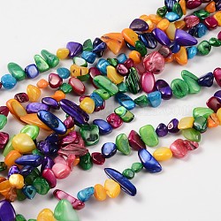Natural Freshwater Shell Beads Strands, Dyed, Chips, Colorful, 7-15mm, about 32 inch/strand