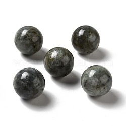 Perles naturelles de labradorite, pas de trous / non percés, ronde, 25~25.5mm