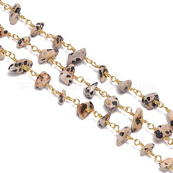 3.28 pieds de chaînes de perles de jaspe dalmatien naturel fait à la main, non soudée, avec les accessoires en laiton, puces, or, 6~12x4~9mm