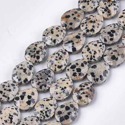 Chapelets de perles en jaspe dalmatien naturelle G-S354-05-1