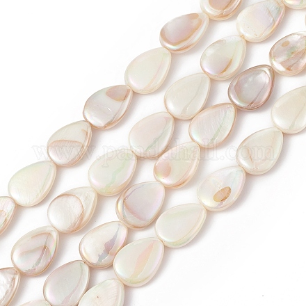 Brins de perles de coquille d'eau douce naturelles plaquées de couleur ab BSHE-G033-02-1