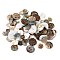 Natural Shell Buttons, Flat Round, 2-Hole, Mixed Color, 10~20.5x1.5~2mm, Hole: 1.6~2mm