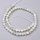 Brins de perles de lune blanche G-J376-67F-6mm-2