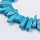 Dyed Natural Howlite Chip Beads Strands X-G-R191-12-3