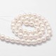 Chapelets de perles en coquille BSHE-L029-01-6mm-2