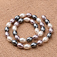Pulido de grado ovalada unas hebras de perlas concha perla BSHE-M026-02-2
