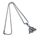 316L Stainless Steel Pendant Necklace STAS-Q203-AAT842-2-2