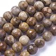 Chapelets de perles en bois pétrifié naturel G-P430-16-D-2
