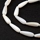 Eau douce naturelle de coquillage perles brins SHEL-M018-09-4