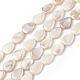 Brins de perles de coquille d'eau douce naturelles plaquées de couleur ab BSHE-G033-02-1
