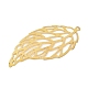 Eisen Anhänger & Charms&nbsp;IFIN-R001-02G-2