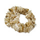 Jaune naturel coquille brins de perles SSHEL-H072-05-2